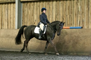 Isis Dressage Crown Farm Show 29th April 2012